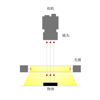 FLC_副本.jpg